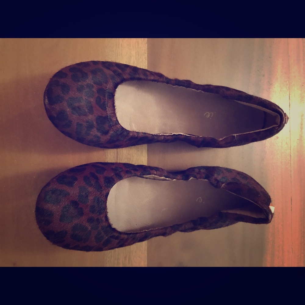 Elorie Leopard Print Ballet Flats
